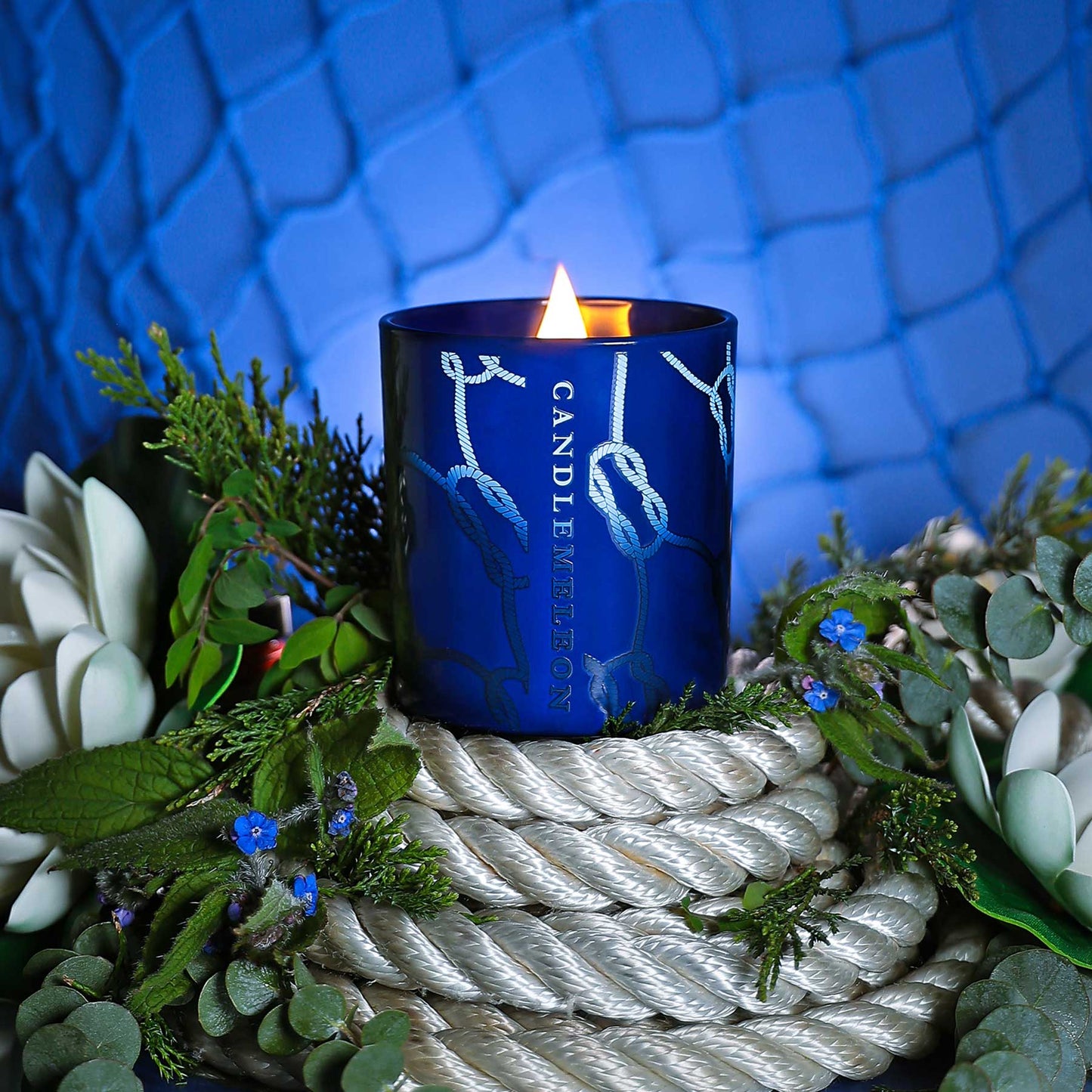 Candlemeleon-Biscay -Eucalyptus,Patchouli & Water Lily