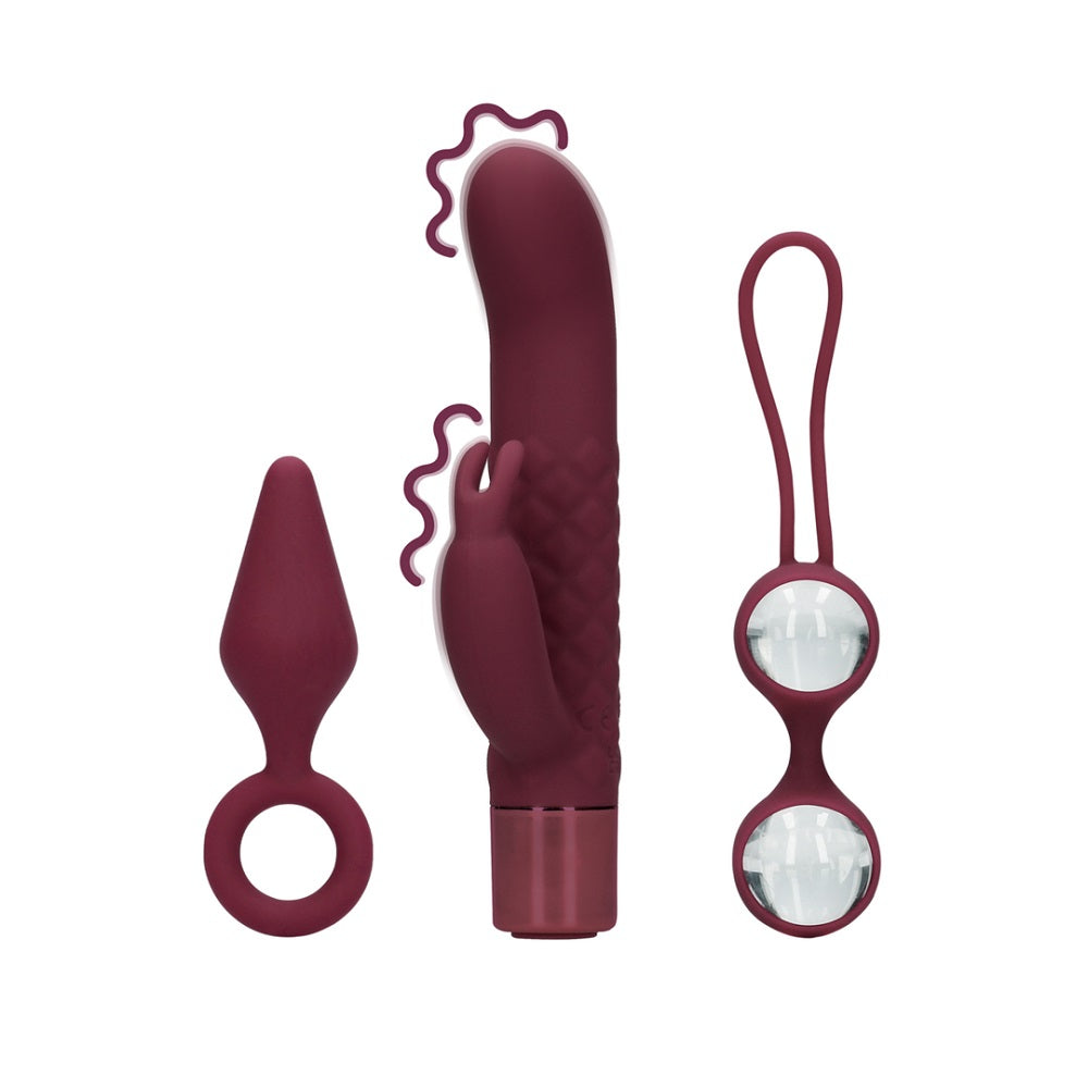 Sex Toy Kit for Her