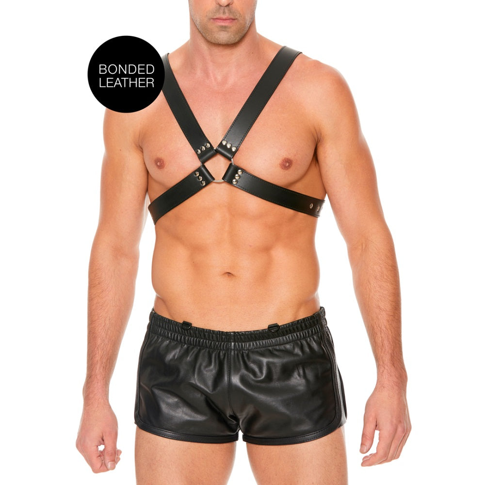 Leather Harness with Large Buckle One Size